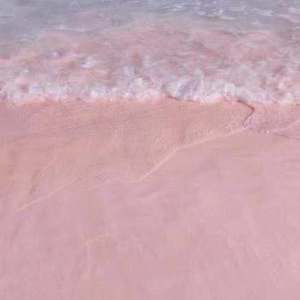 色欲无码精品一区二区三区99满
