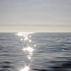 色欲无码精品一区二区三区99满
